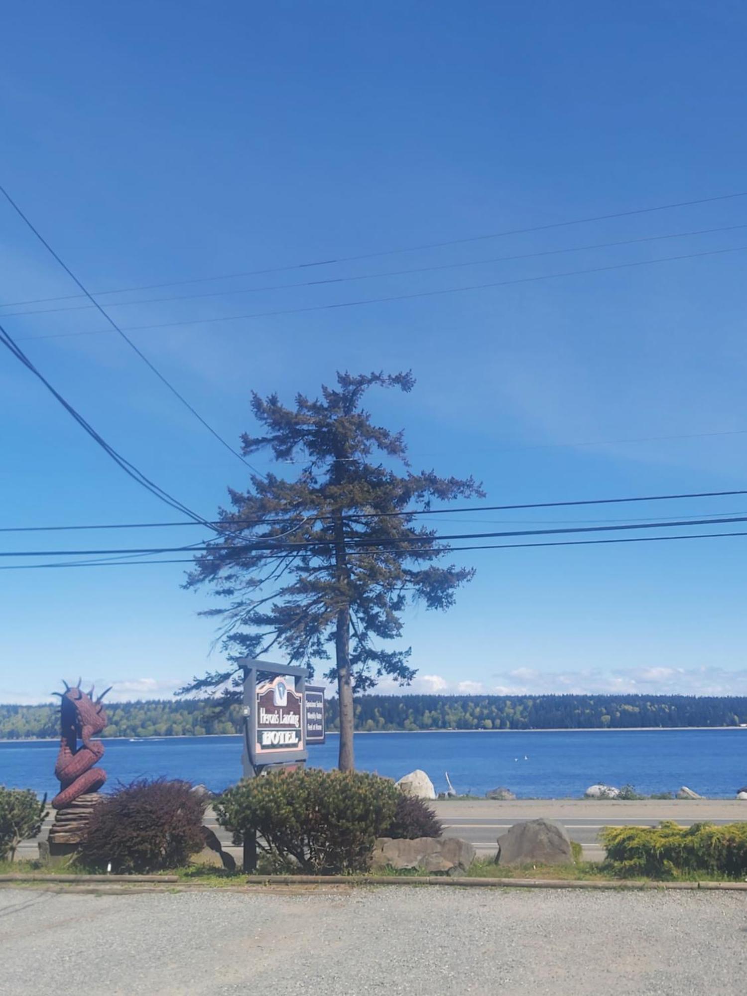 Heron's Landing Hotel Campbell River Luaran gambar