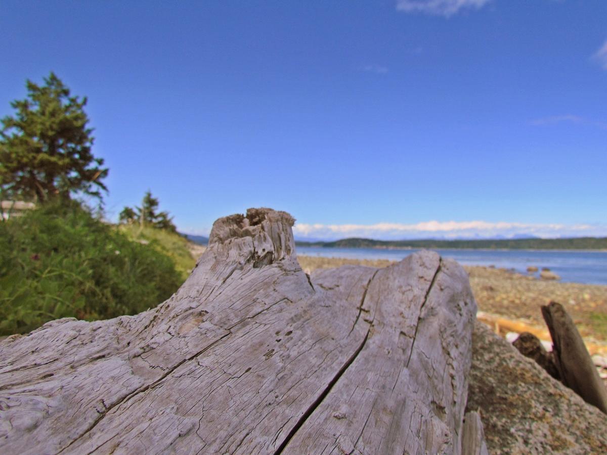 Heron's Landing Hotel Campbell River Luaran gambar